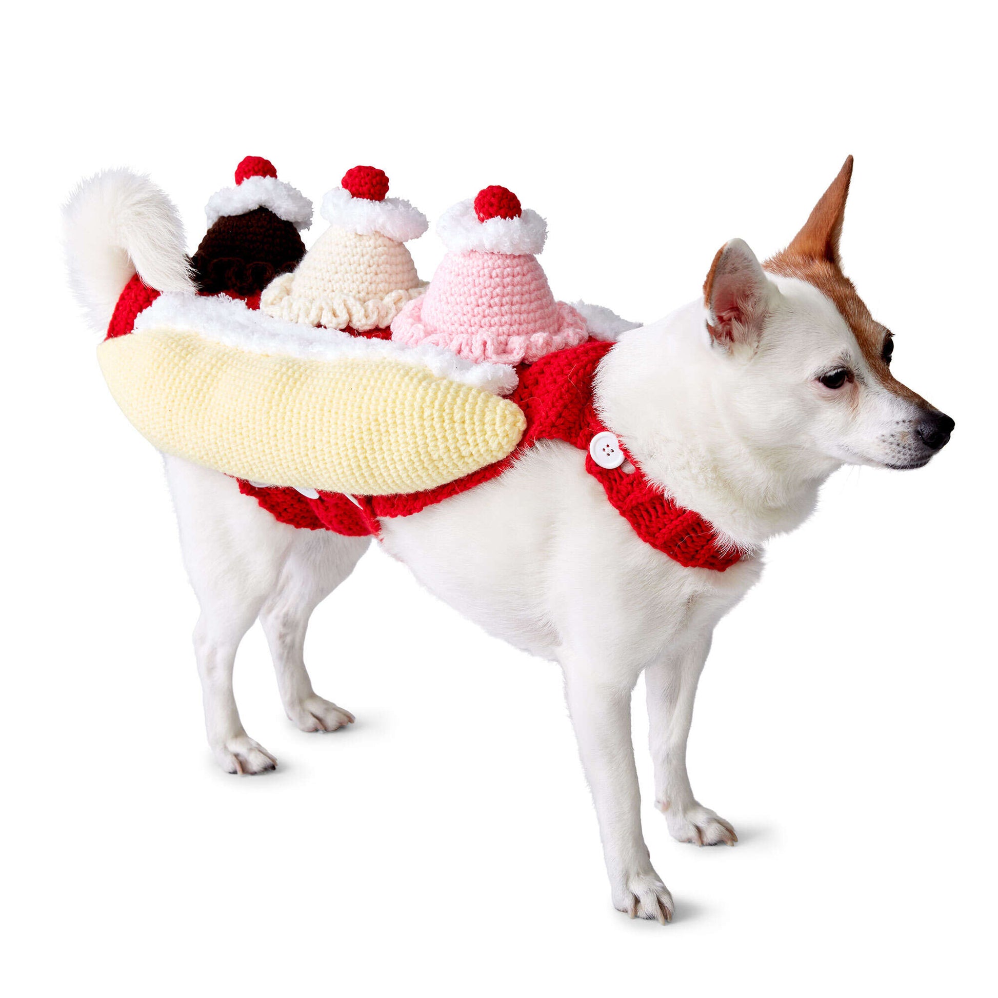 Unleash the Fun: Crafting the That’s Bananas! Crochet Dog Coat